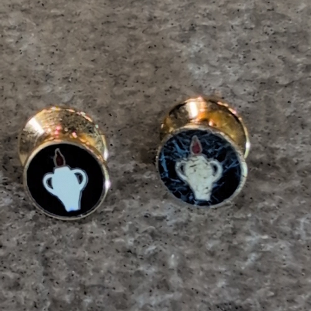 Vintage 1/20 10KT Gold Filled Lamp of Knowledge Nursing Enamel Lapel Pins Set 2 - Picture 2 of 5